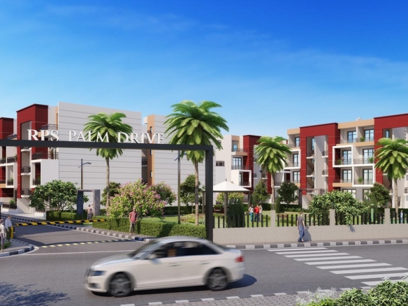 rps palm drive