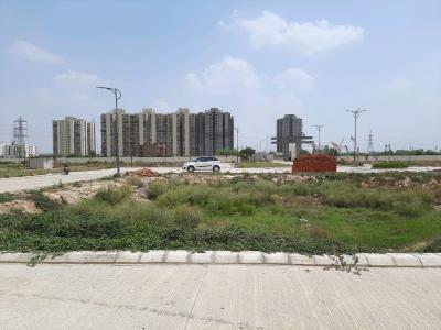 residential plot-for-sale-sector 70 faridabad-Faridabad-plot view